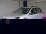Sandero Hamster