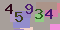 Recopiez le code suivant